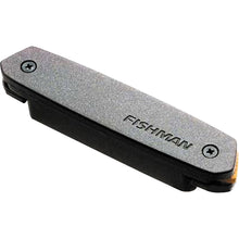 Fishman Neo-D Magnetic Soundhole Humbucker Acoustic Guitar Pickup