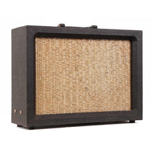 Rex Valco Model Four Tube Dual Input 1x8 Combo Amplifier