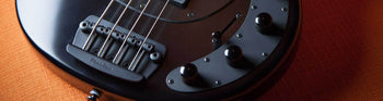 Bass Guitars - The Music Zoo