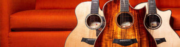 Taylor American Dream - The Music Zoo