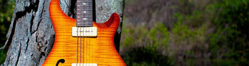 Electric Guitars